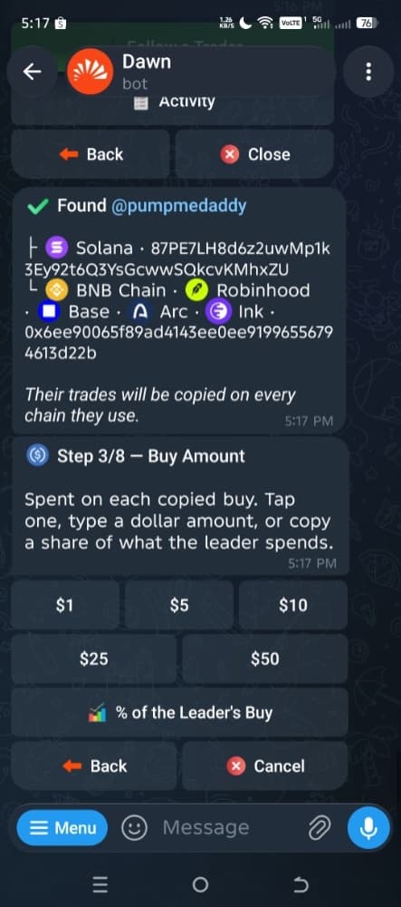 Dawn Copytrade wizard, step 3: Buy Amount