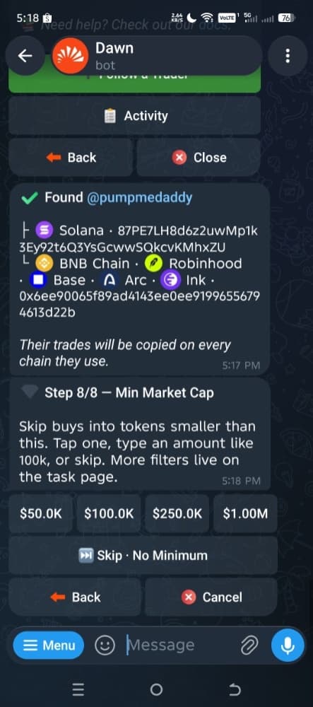 Dawn Copytrade wizard, step 8: Min Market Cap